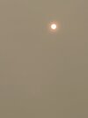 IMG_5932.jpeg
