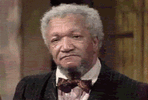giphy2.gif