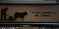 IMG_3147.gif