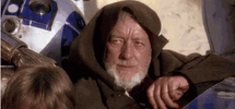 IMG_7032.gif