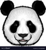 cute-fluffy-panda-face-vector-12805065.jpg