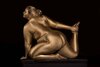 metallic-curves-fotoprojekt-silvana-denker-frau-nackt-gold.jpg