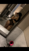 65F10A9F-9B7C-4121-AD20-D92EE38F6821.png