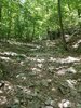 20200621_135020.jpg
