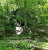 20200622_092213.jpg