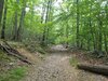 20200621_134413.jpg