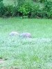 tmp-cam-5368089583971828107.jpg