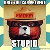 only-you-can-prevent-stupid.jpg