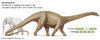 dinosaur-Brontosaurus-size-elephant-favour-taxonomists-Emanuel-April-2015.jpg