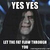 yes-yes-let-the-fat-flow-through-you.jpg