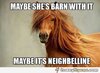 Maybe-Shes-Barn-With-It-Funny-Horse-Meme.jpg