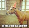 Someday-Ill-Be-A-Unicorn.jpg