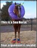 This-Is-A-Sea-Horse.jpg