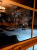 20210111_044125.jpg