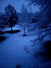 20210111_065825.jpg
