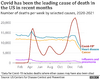 _117140748_3optimised-causes_of_death-nc.png