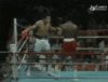 giphy-downsized-large (1).gif