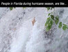 people-of-florida-during-hurricane-season-flipping-bird.jpg