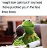 kermit-look-calm-mind-punched-you-multiple-times.jpg