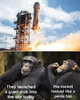 monkeys-jeff-bezos-space-launched-dick.jpg