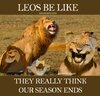 they-think-leo-season-ends-funny-meme.jpg