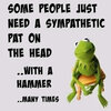 kermit-some-people-sympathetic-pat-on-head-with-hammer.jpg