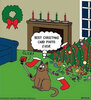 cat-best-christmas-card-photo-every.jpg