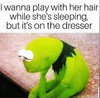 Play with her hair Kermit meme.jpg