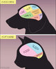 dogs-vs-cats-mind-food-sleep-murder.jpg