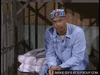 AfraidLinedAsianconstablebutterfly-max-1mb.gif