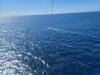 20230109_115315.jpg