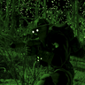 OnyxRanger