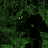 OnyxRanger